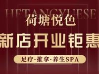 荷塘悦色